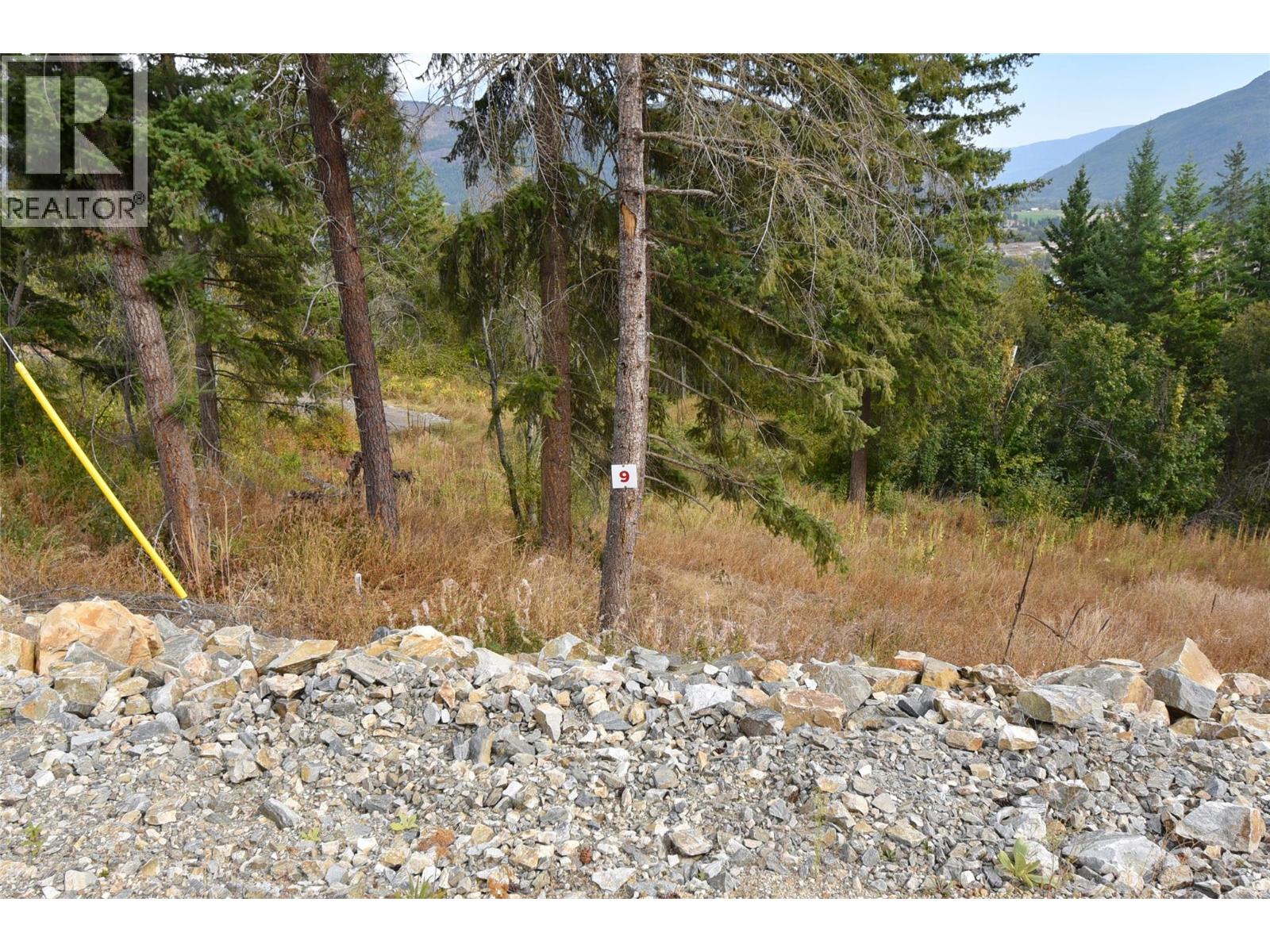 201 Crooked Pine Road, Enderby, British Columbia  V0E 1V1 - Photo 1 - 10339974