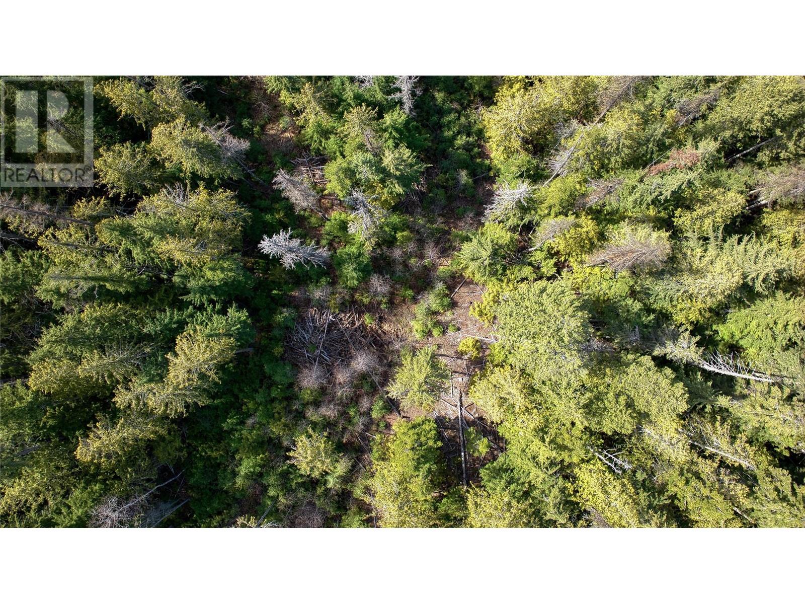 Lot B Elsie Holmes Road, Wynndel, British Columbia  V0B 2N0 - Photo 7 - 10340068