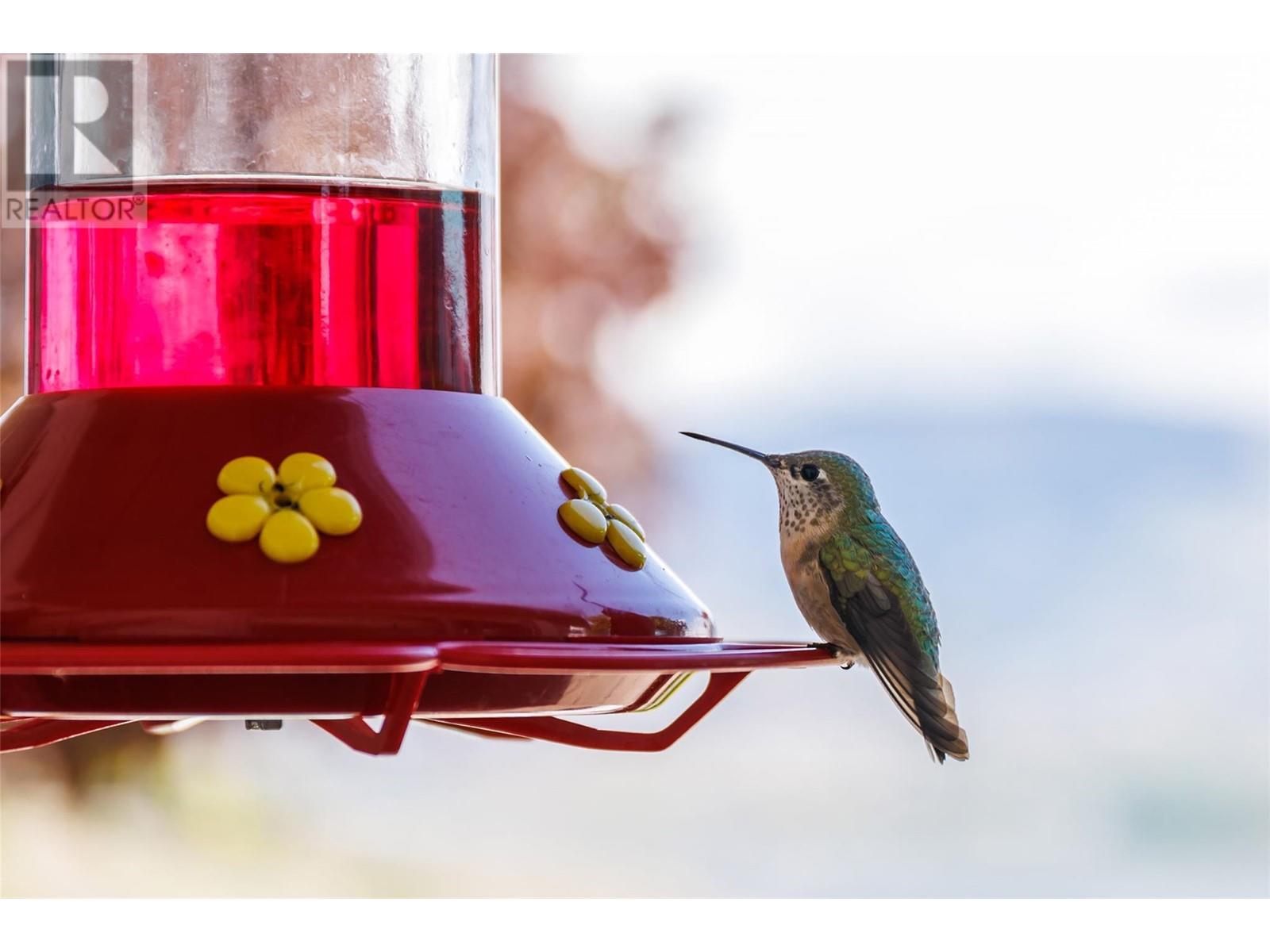 315 Kalamalka Lakeview Drive Unit# 1, Vernon, British Columbia  V1H 1S7 - Photo 53 - 10339775