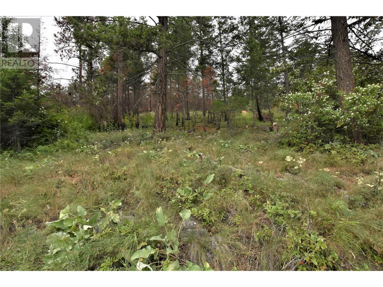 9354 Westside Road, Vernon, British Columbia  V1H 2G1 - Photo 12 - 10340108