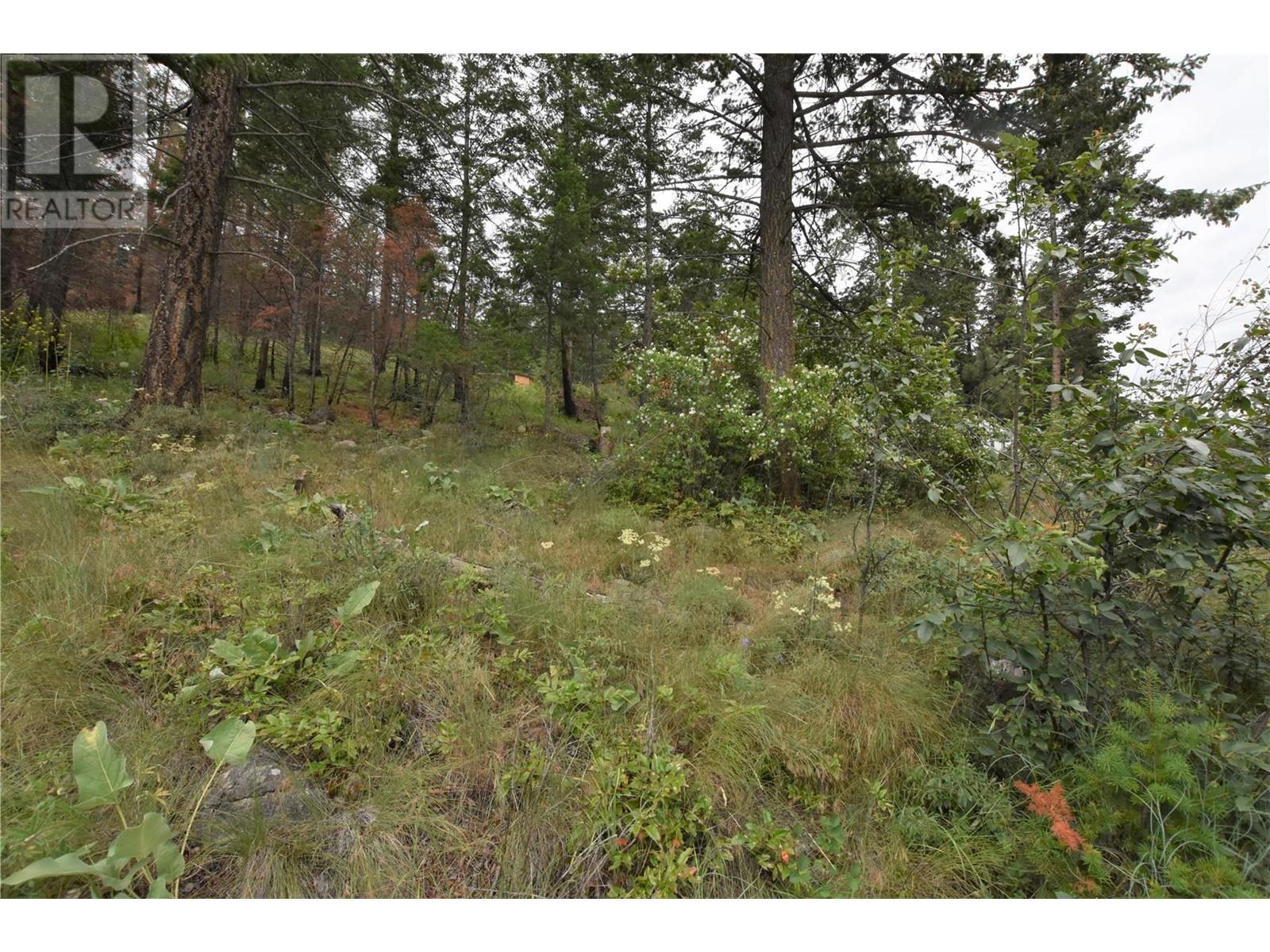 9354 Westside Road, Vernon, British Columbia  V1H 2G1 - Photo 13 - 10340108