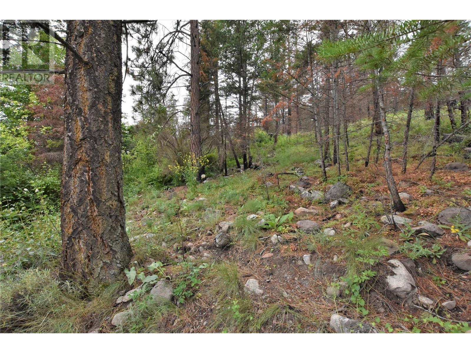 9354 Westside Road, Vernon, British Columbia  V1H 2G1 - Photo 17 - 10340108