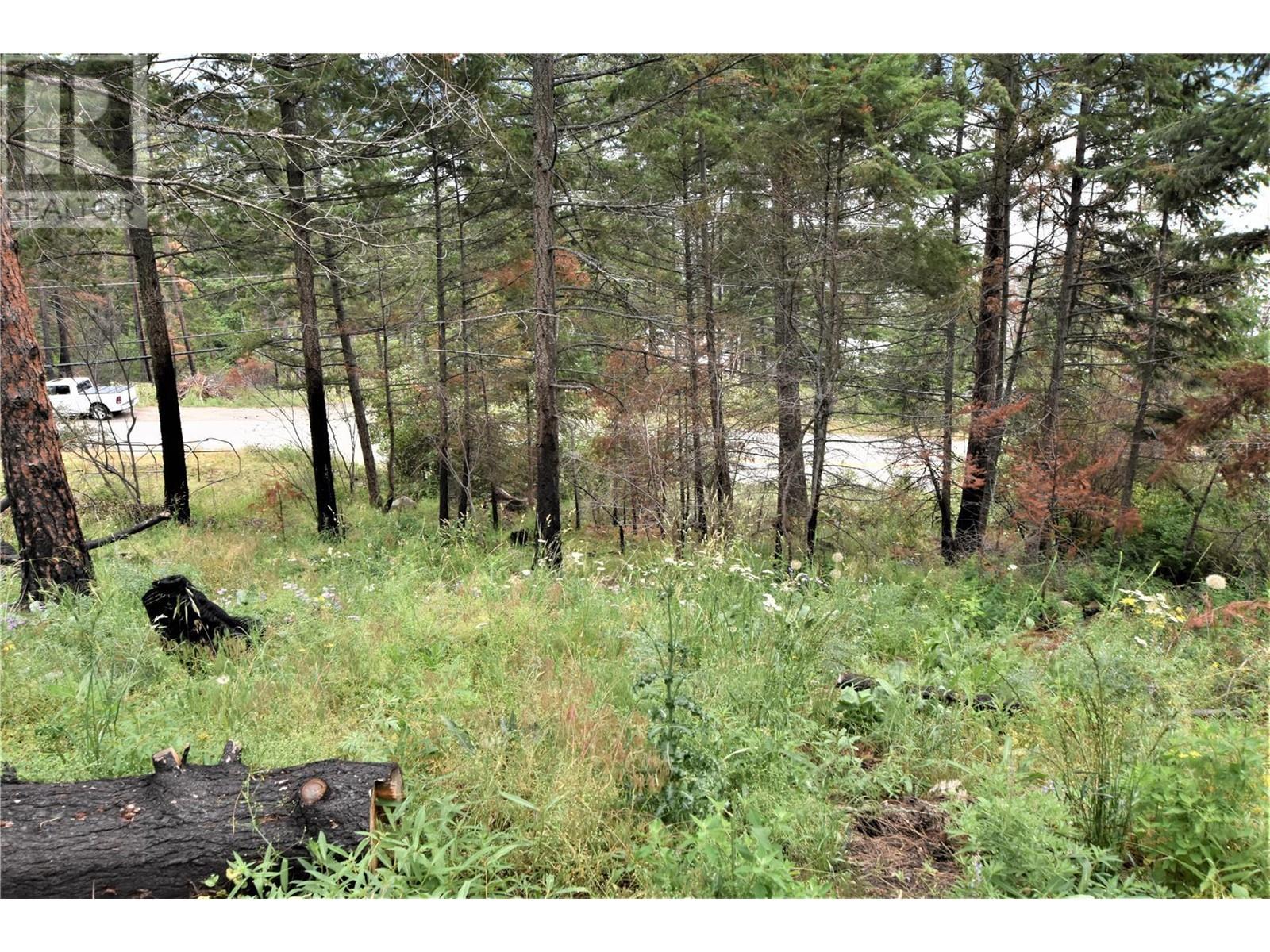 9354 Westside Road, Vernon, British Columbia  V1H 2G1 - Photo 19 - 10340108