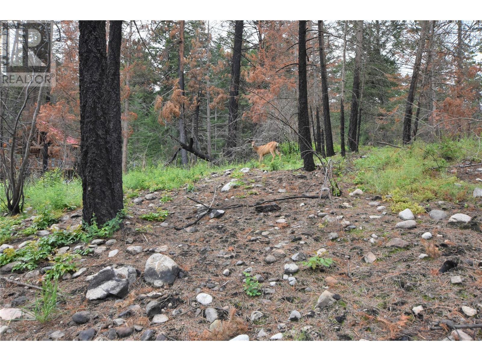 9354 Westside Road, Vernon, British Columbia  V1H 2G1 - Photo 21 - 10340108