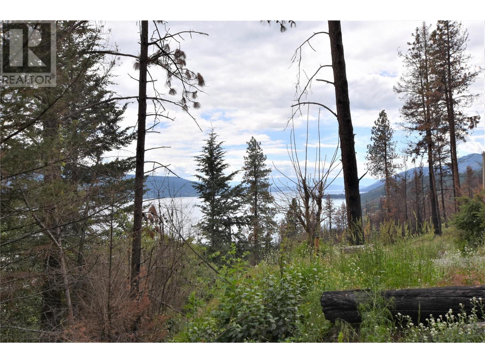 9354 Westside Road, Vernon, British Columbia  V1H 2G1 - Photo 4 - 10340108