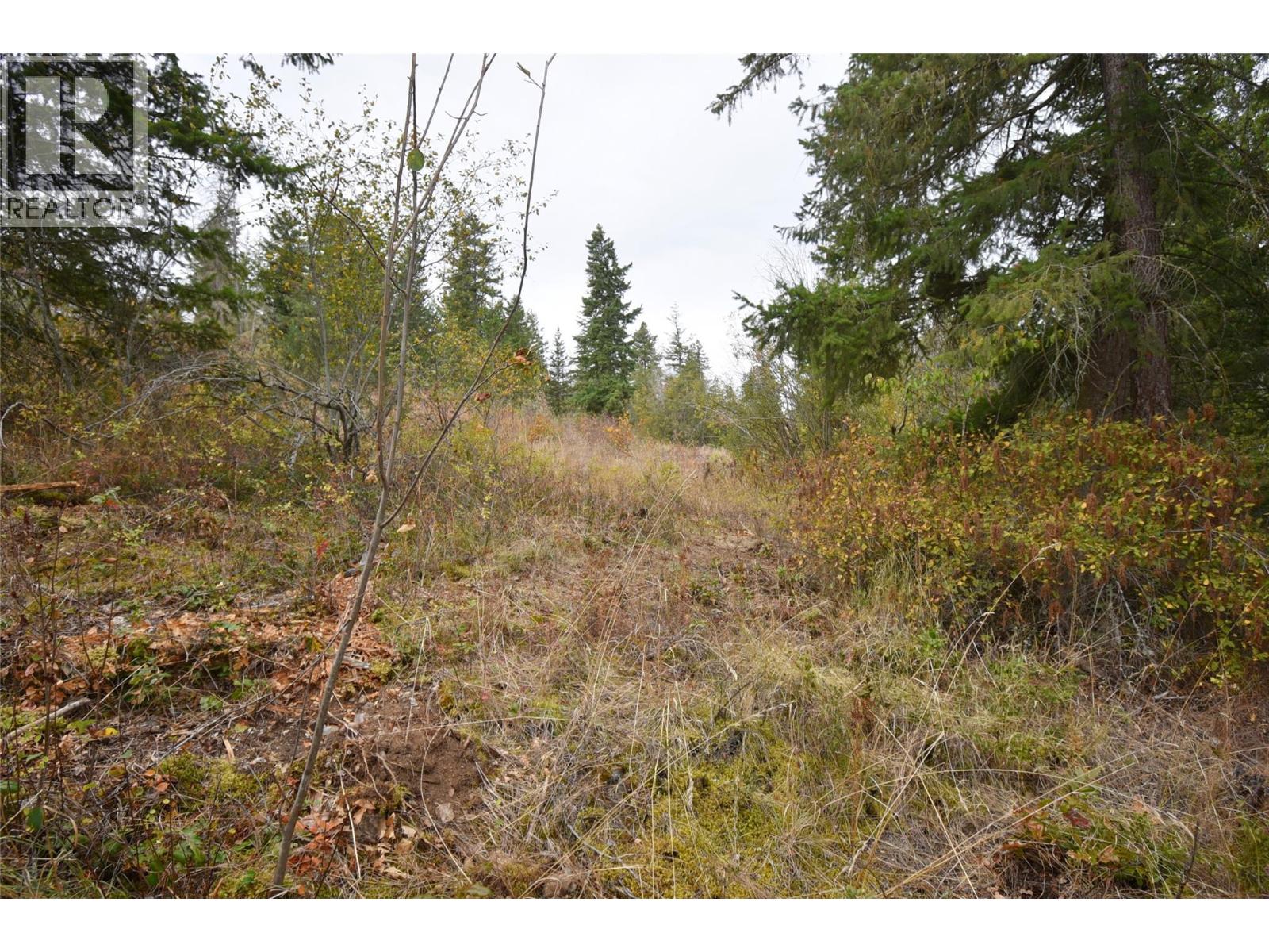 252 Crooked Pine Road, Enderby, British Columbia  V0E 1V1 - Photo 5 - 10340175