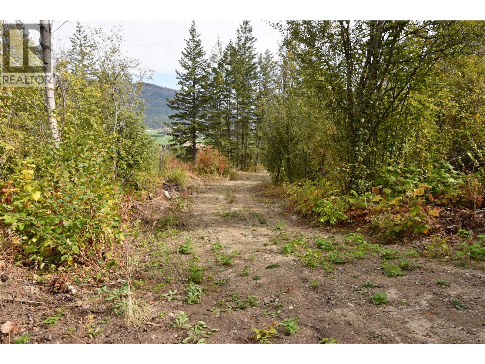 219 Crooked Pine Road, Enderby, British Columbia  V0E 1V1 - Photo 4 - 10340158