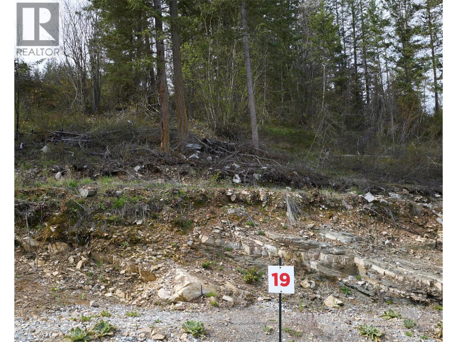 246 Crooked Pine Road, Enderby, British Columbia  V0E 1V1 - Photo 1 - 10340164