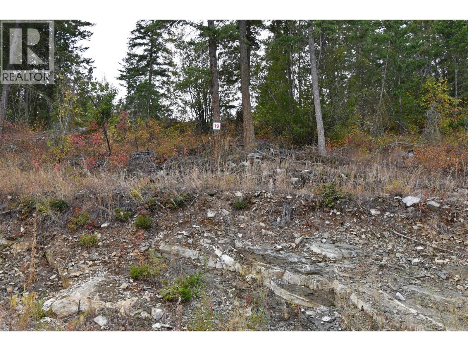 246 Crooked Pine Road, Enderby, British Columbia  V0E 1V1 - Photo 3 - 10340164