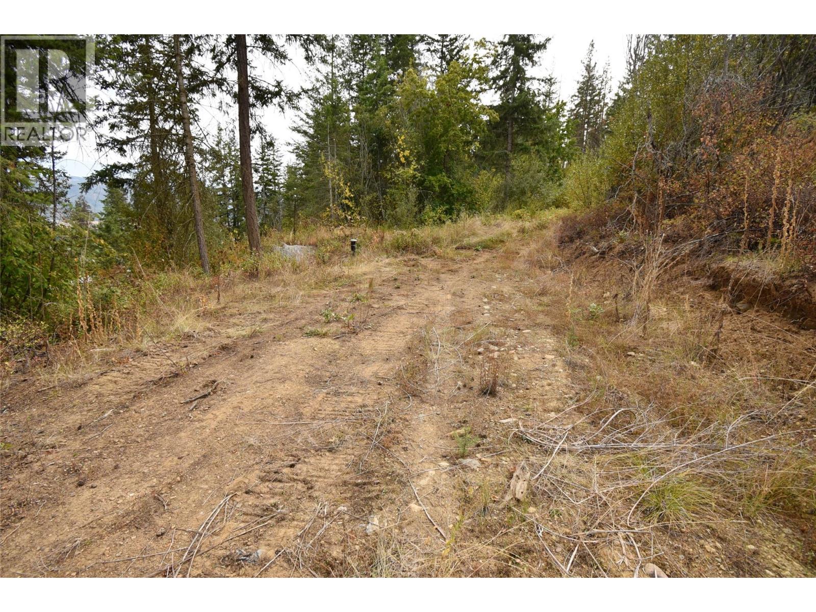 246 Crooked Pine Road, Enderby, British Columbia  V0E 1V1 - Photo 4 - 10340164