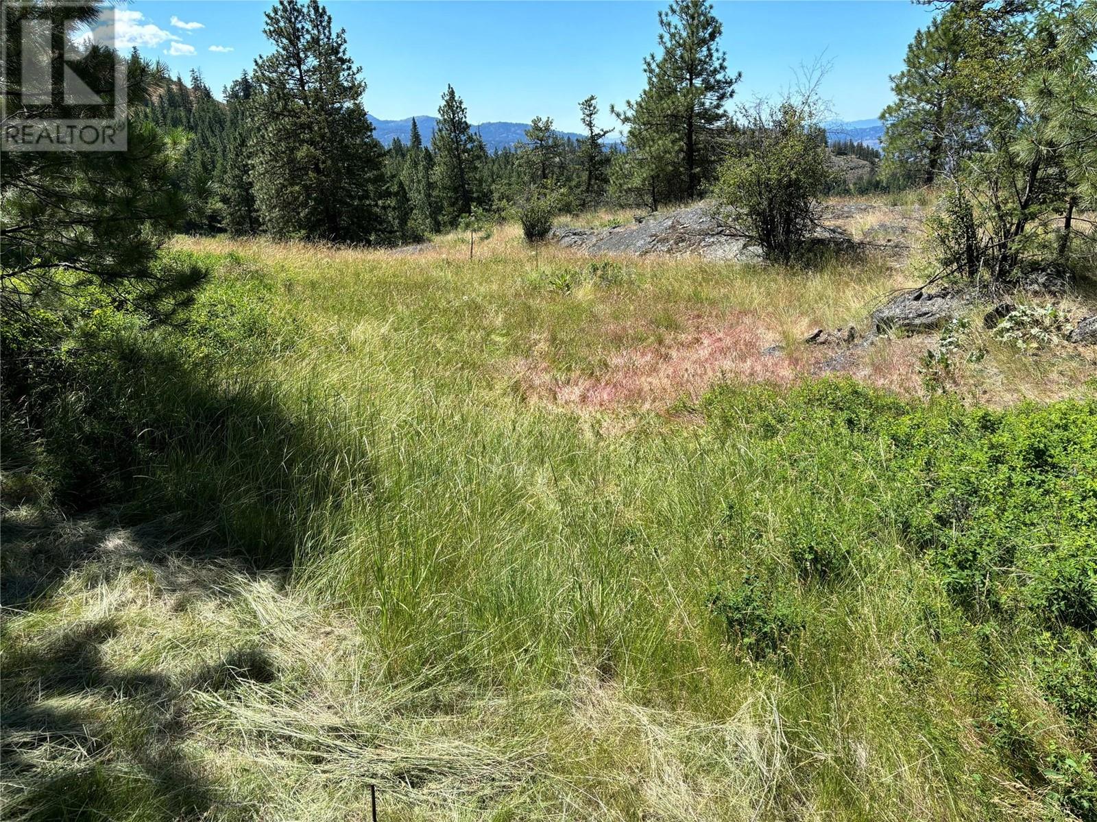 Lot 12 Blacktail Pl, Osoyoos, British Columbia  V0H 1V6 - Photo 10 - 10340281