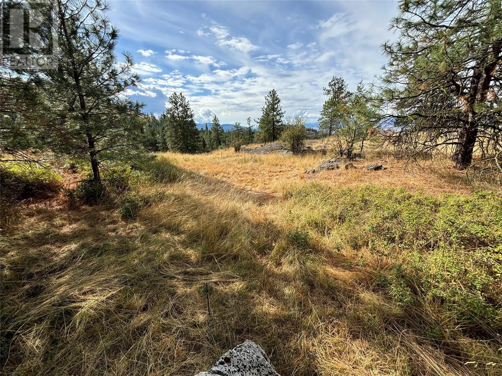 Lot 12 Blacktail Pl, Osoyoos, British Columbia  V0H 1V6 - Photo 13 - 10340281