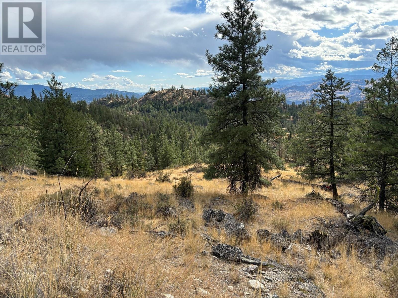 Lot 12 Blacktail Pl, Osoyoos, British Columbia  V0H 1V6 - Photo 15 - 10340281
