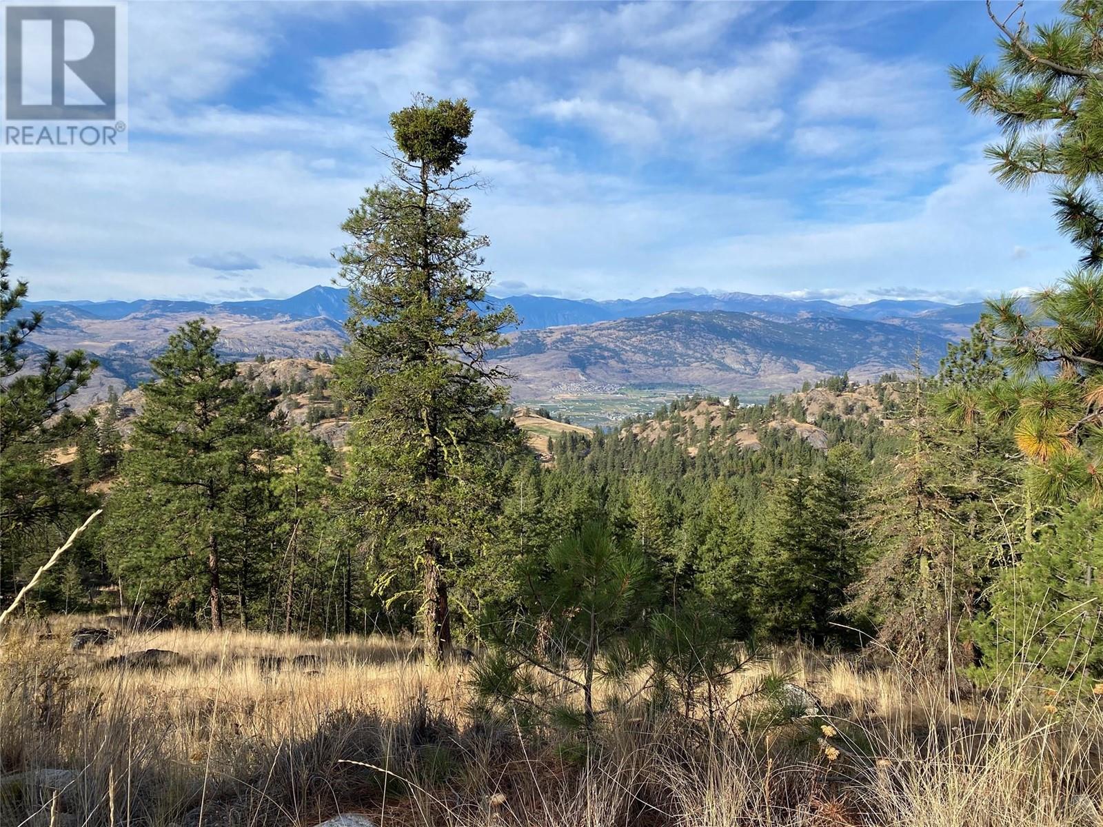 Lot 12 Blacktail Pl, Osoyoos, British Columbia  V0H 1V6 - Photo 18 - 10340281