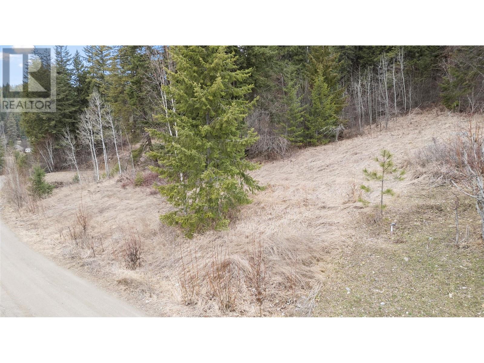 2481 Squilax-Anglemont Road Lot# 21, Lee Creek, British Columbia  V0E 1M4 - Photo 10 - 10340124