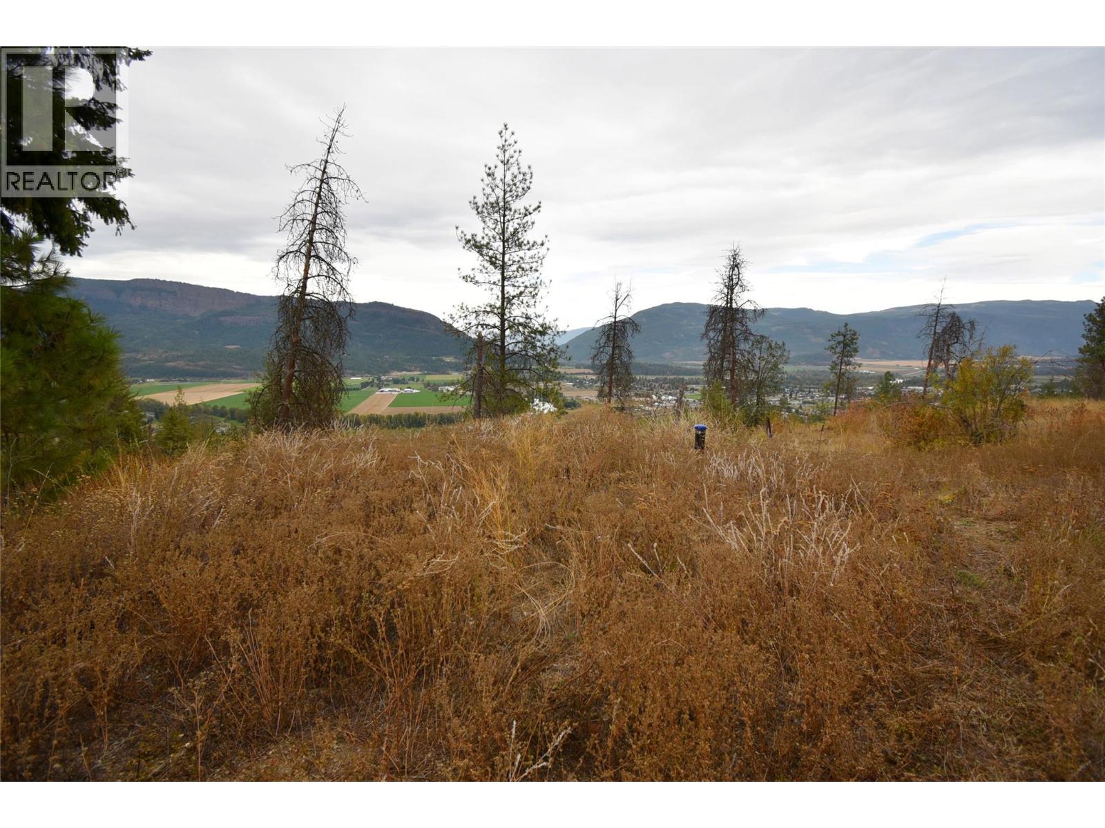 351 Oxbow Place, Enderby, British Columbia  V0E 1V1 - Photo 3 - 10340388