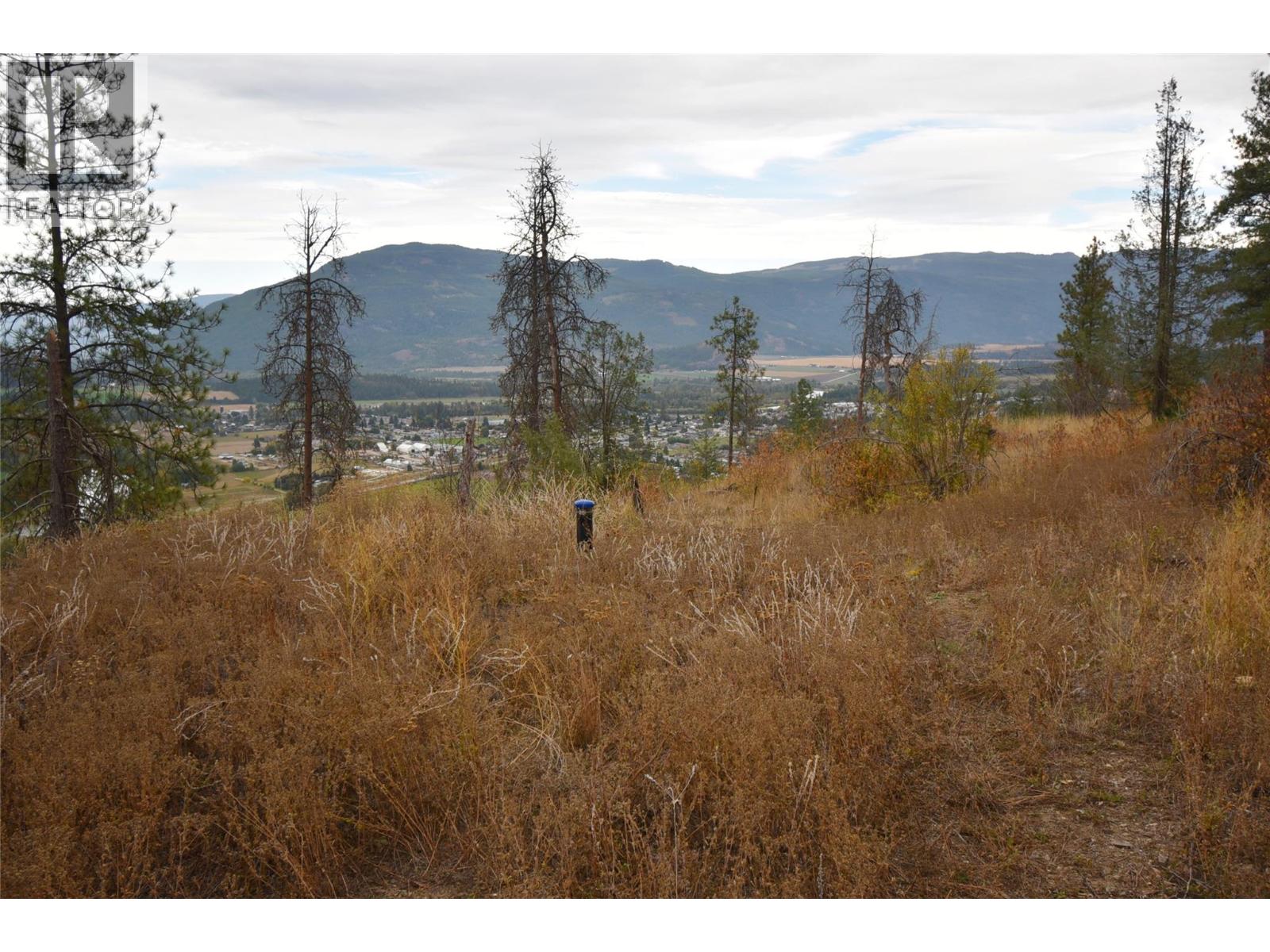 351 Oxbow Place, Enderby, British Columbia  V0E 1V1 - Photo 4 - 10340388