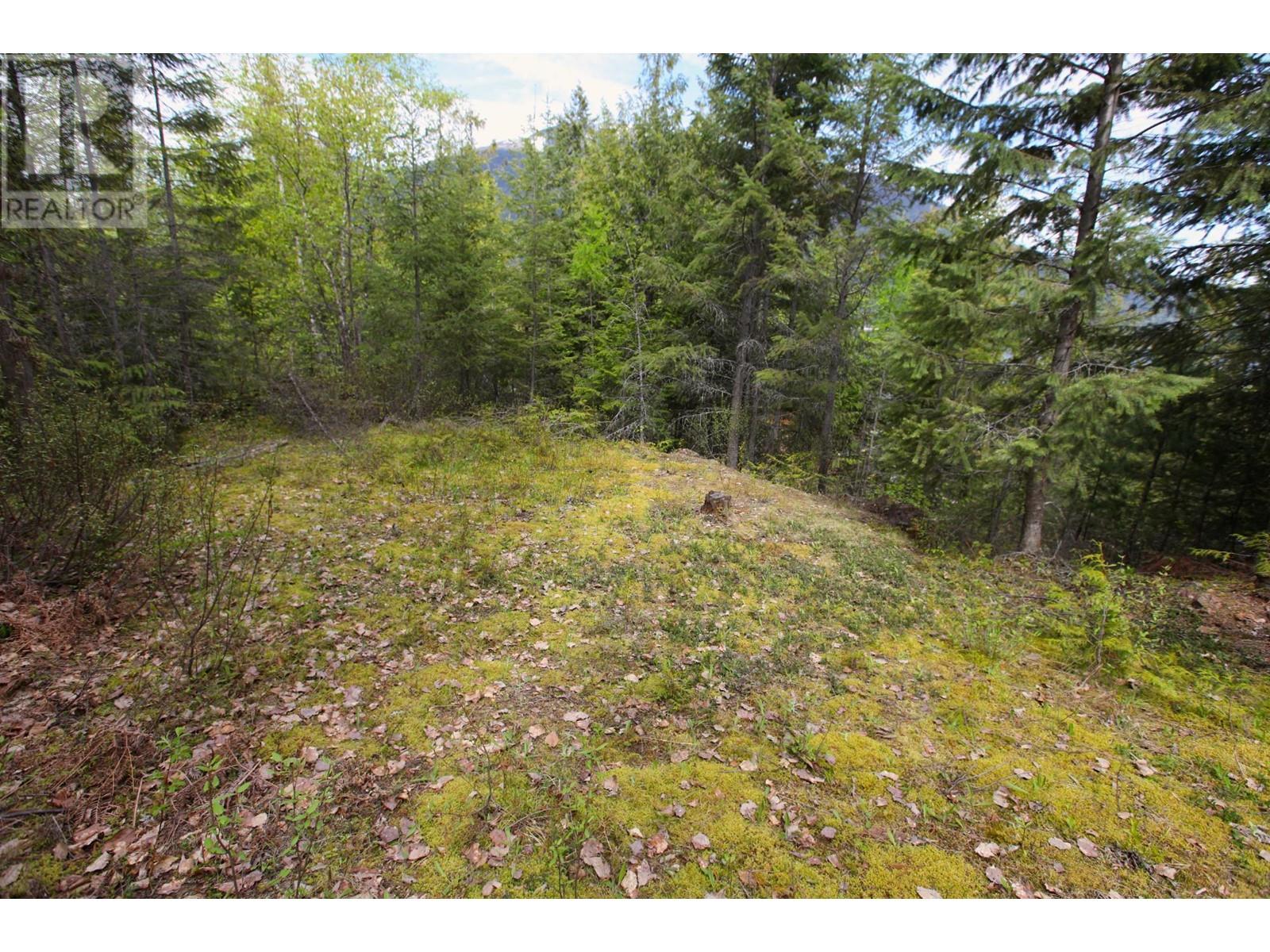 434 Lexington Avenue, Procter, British Columbia  V1L 6R7 - Photo 10 - 10339029