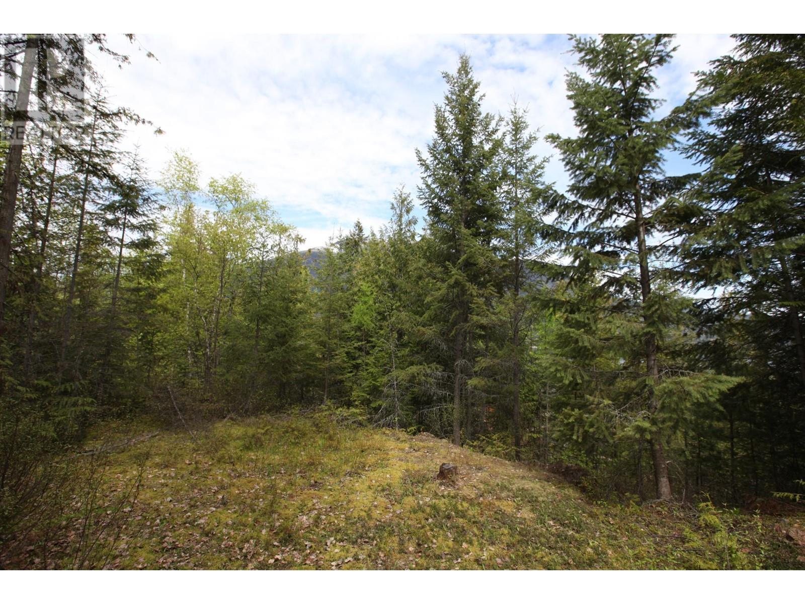 434 Lexington Avenue, Procter, British Columbia  V1L 6R7 - Photo 11 - 10339029