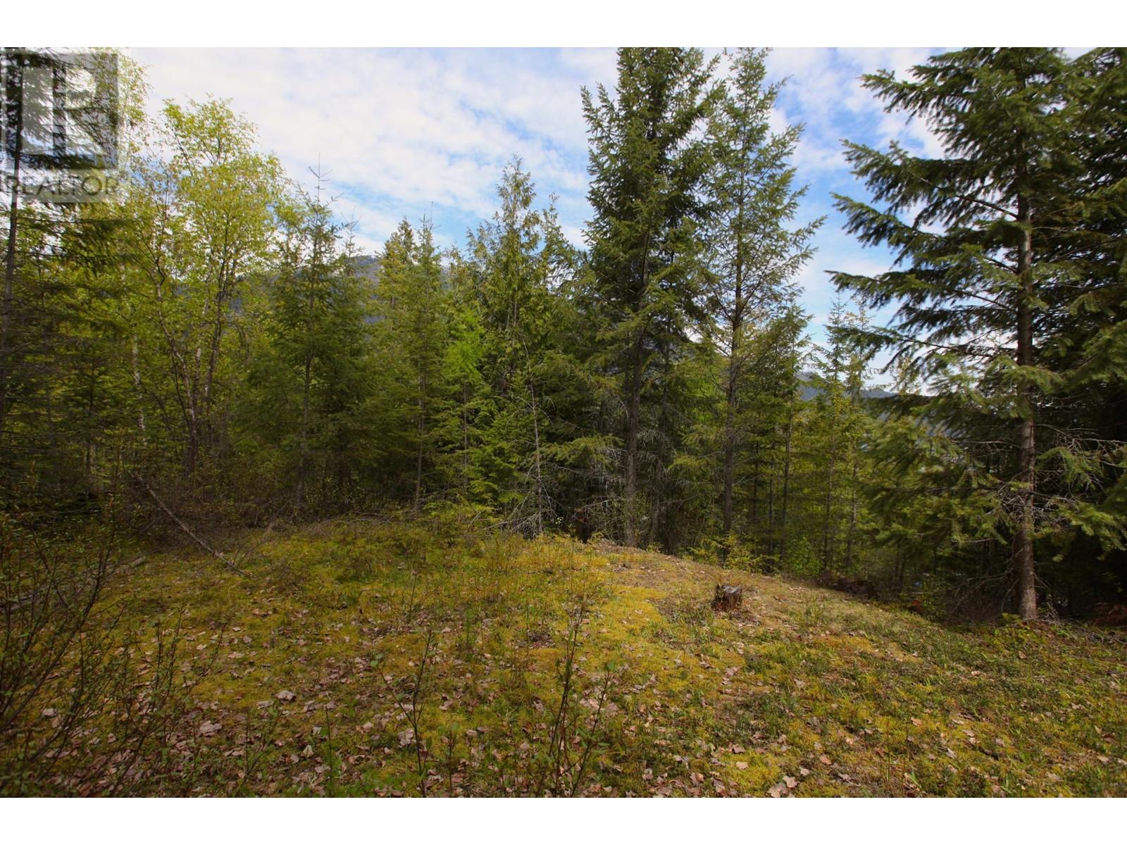 434 Lexington Avenue, Procter, British Columbia  V1L 6R7 - Photo 12 - 10339029