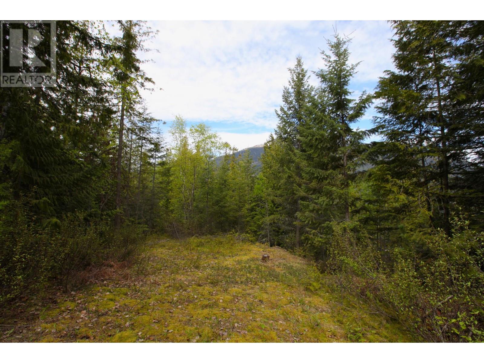 434 Lexington Avenue, Procter, British Columbia  V1L 6R7 - Photo 13 - 10339029