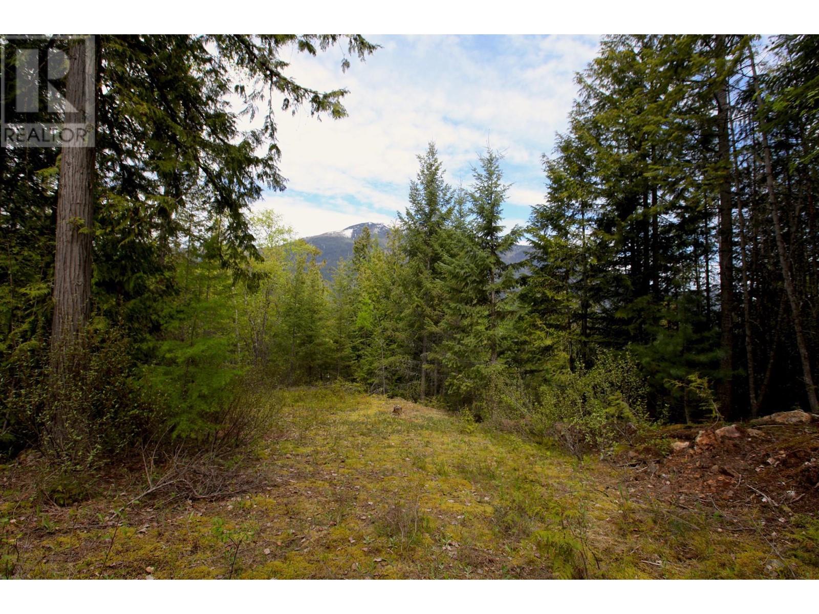 434 Lexington Avenue, Procter, British Columbia  V1L 6R7 - Photo 14 - 10339029