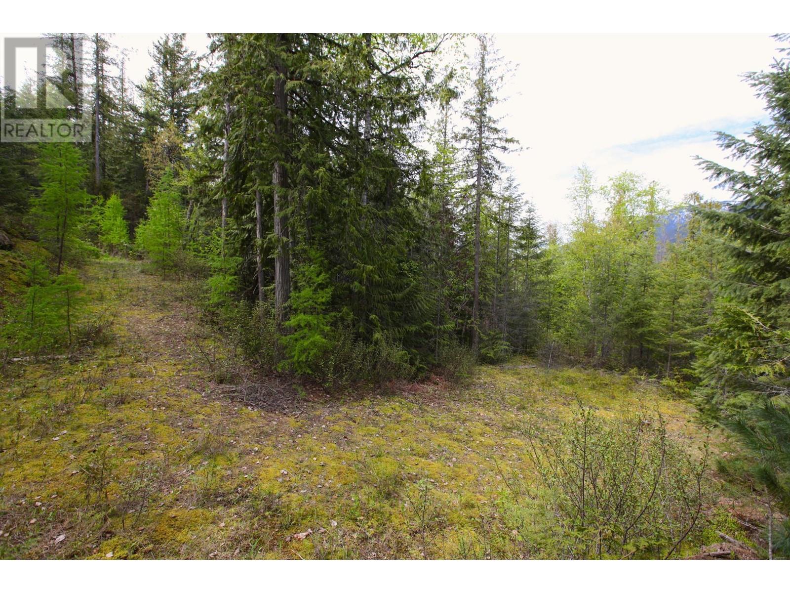 434 Lexington Avenue, Procter, British Columbia  V1L 6R7 - Photo 15 - 10339029