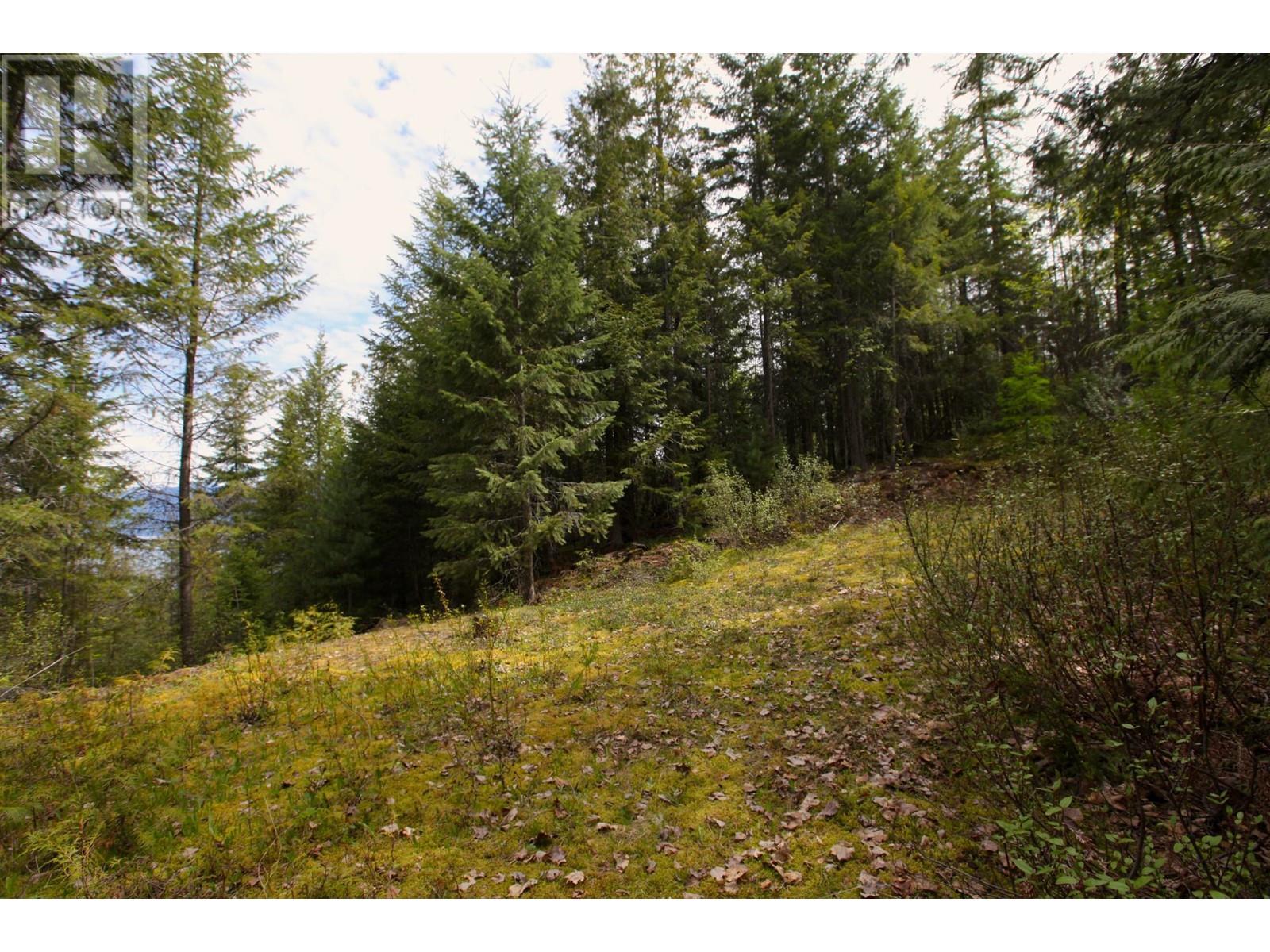 434 Lexington Avenue, Procter, British Columbia  V1L 6R7 - Photo 16 - 10339029