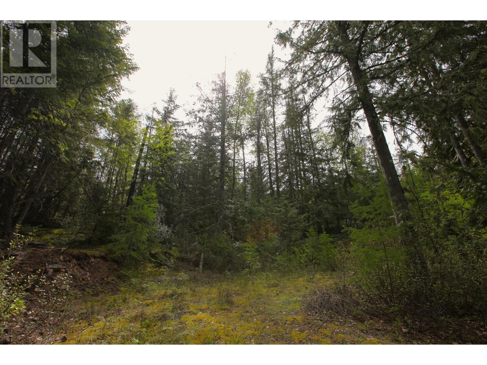 434 Lexington Avenue, Procter, British Columbia  V1L 6R7 - Photo 17 - 10339029