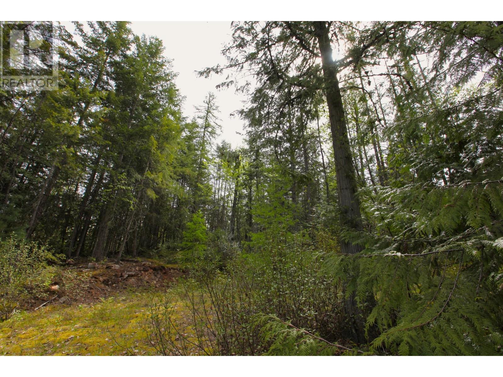 434 Lexington Avenue, Procter, British Columbia  V1L 6R7 - Photo 18 - 10339029