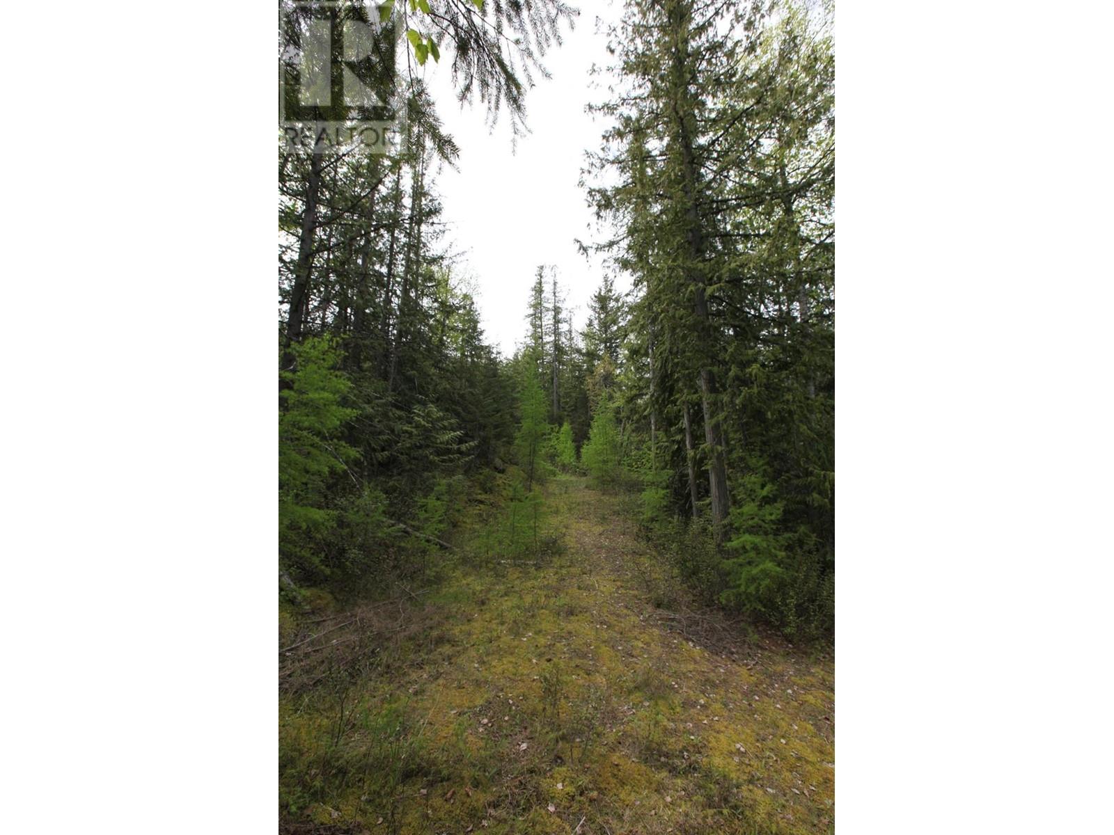 434 Lexington Avenue, Procter, British Columbia  V1L 6R7 - Photo 20 - 10339029