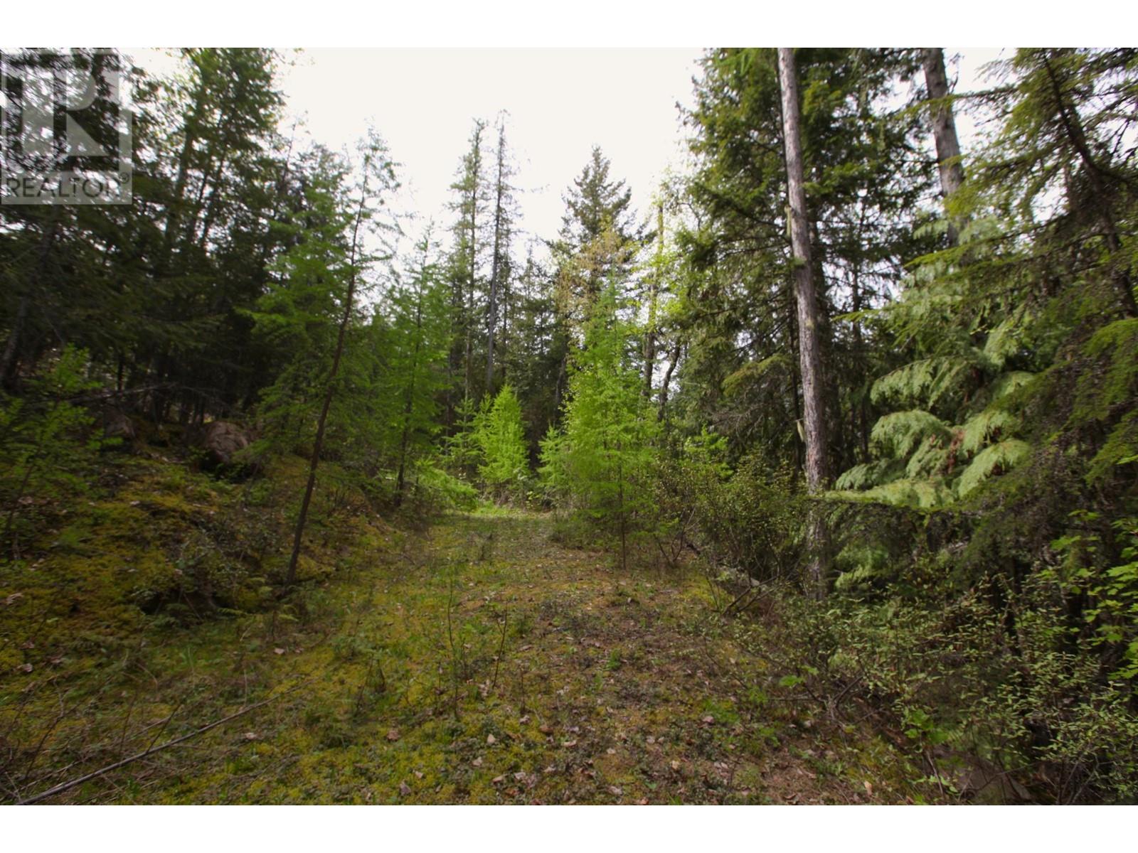 434 Lexington Avenue, Procter, British Columbia  V1L 6R7 - Photo 21 - 10339029