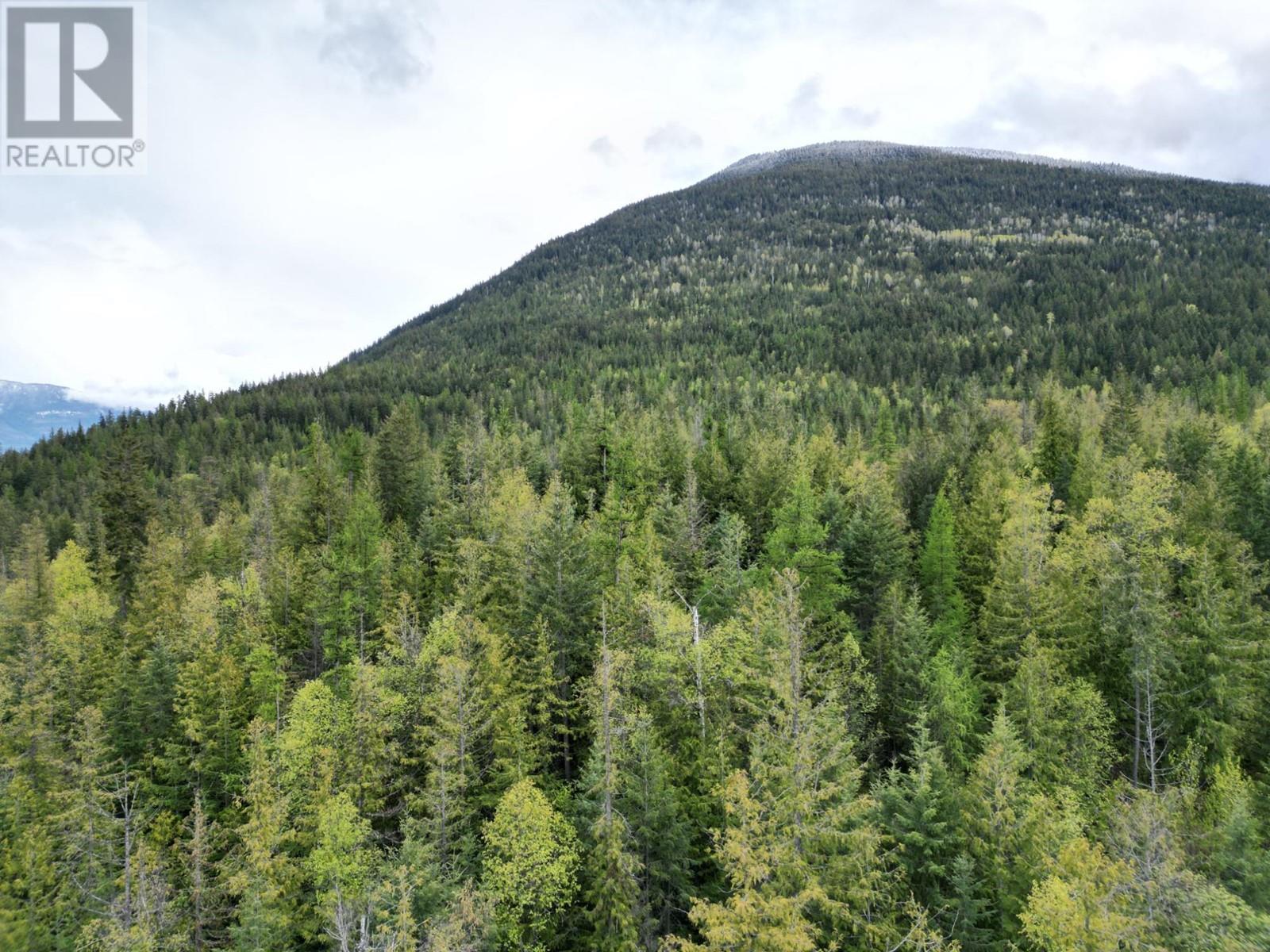 434 Lexington Avenue, Procter, British Columbia  V1L 6R7 - Photo 23 - 10339029