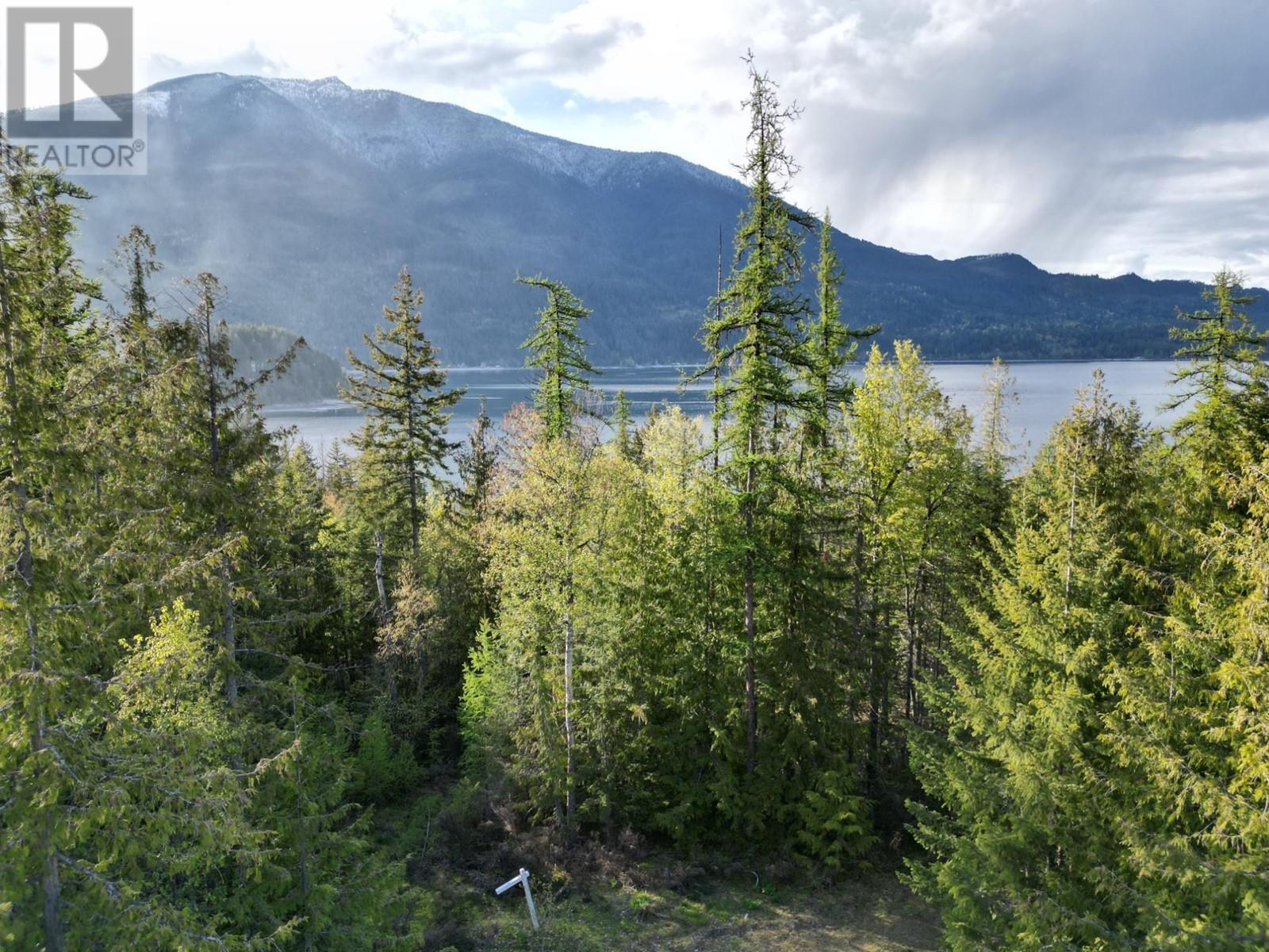 434 Lexington Avenue, Procter, British Columbia  V1L 6R7 - Photo 30 - 10339029