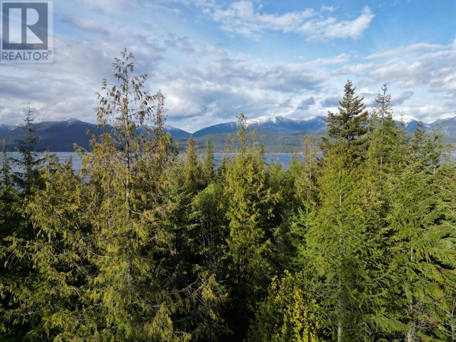 434 Lexington Avenue, Procter, British Columbia  V1L 6R7 - Photo 31 - 10339029