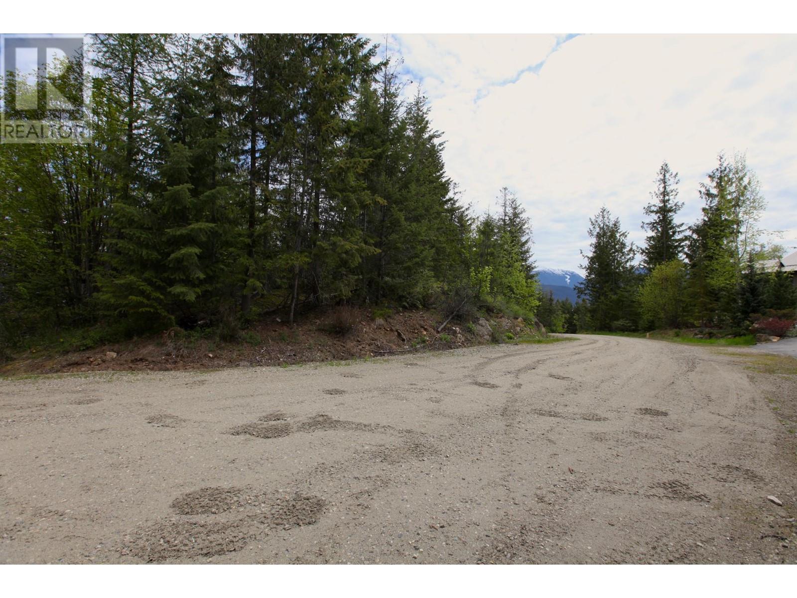 434 Lexington Avenue, Procter, British Columbia  V1L 6R7 - Photo 32 - 10339029