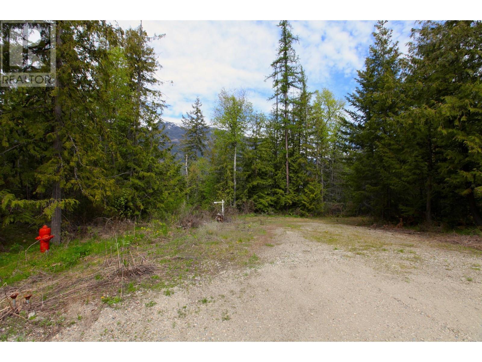 434 Lexington Avenue, Procter, British Columbia  V1L 6R7 - Photo 33 - 10339029