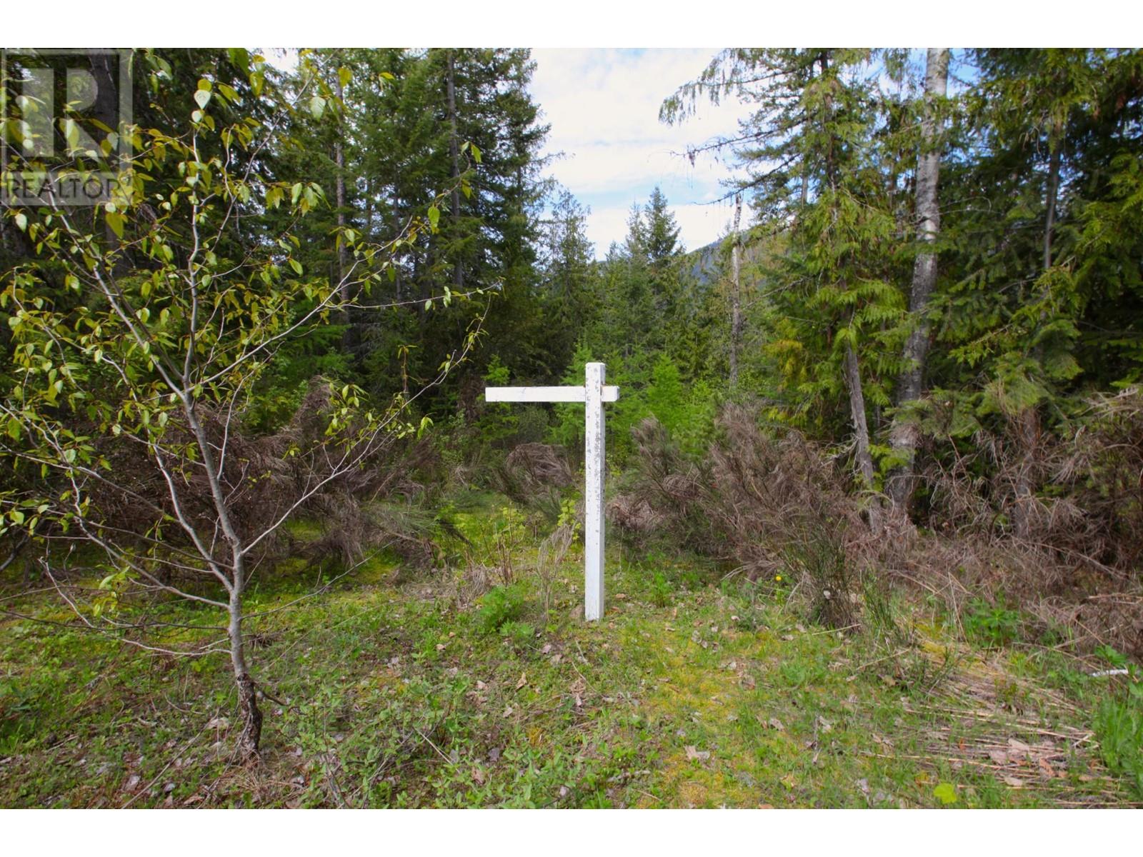 434 Lexington Avenue, Procter, British Columbia  V1L 6R7 - Photo 35 - 10339029