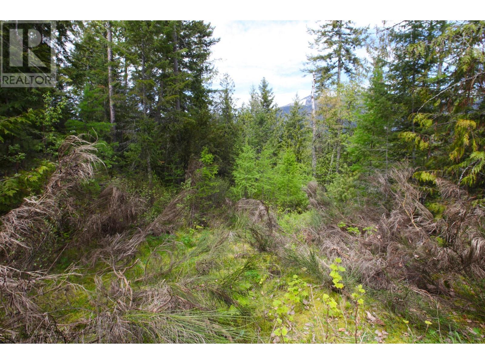 434 Lexington Avenue, Procter, British Columbia  V1L 6R7 - Photo 36 - 10339029