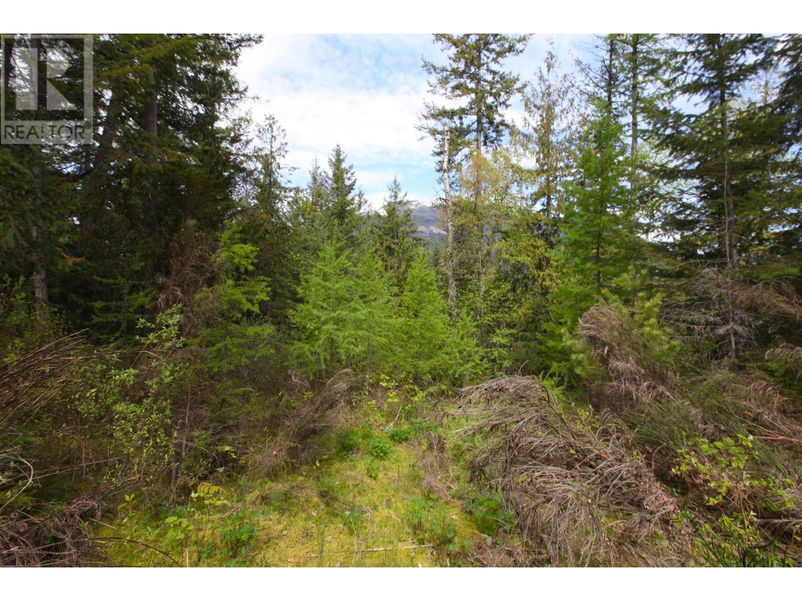 434 Lexington Avenue, Procter, British Columbia  V1L 6R7 - Photo 37 - 10339029