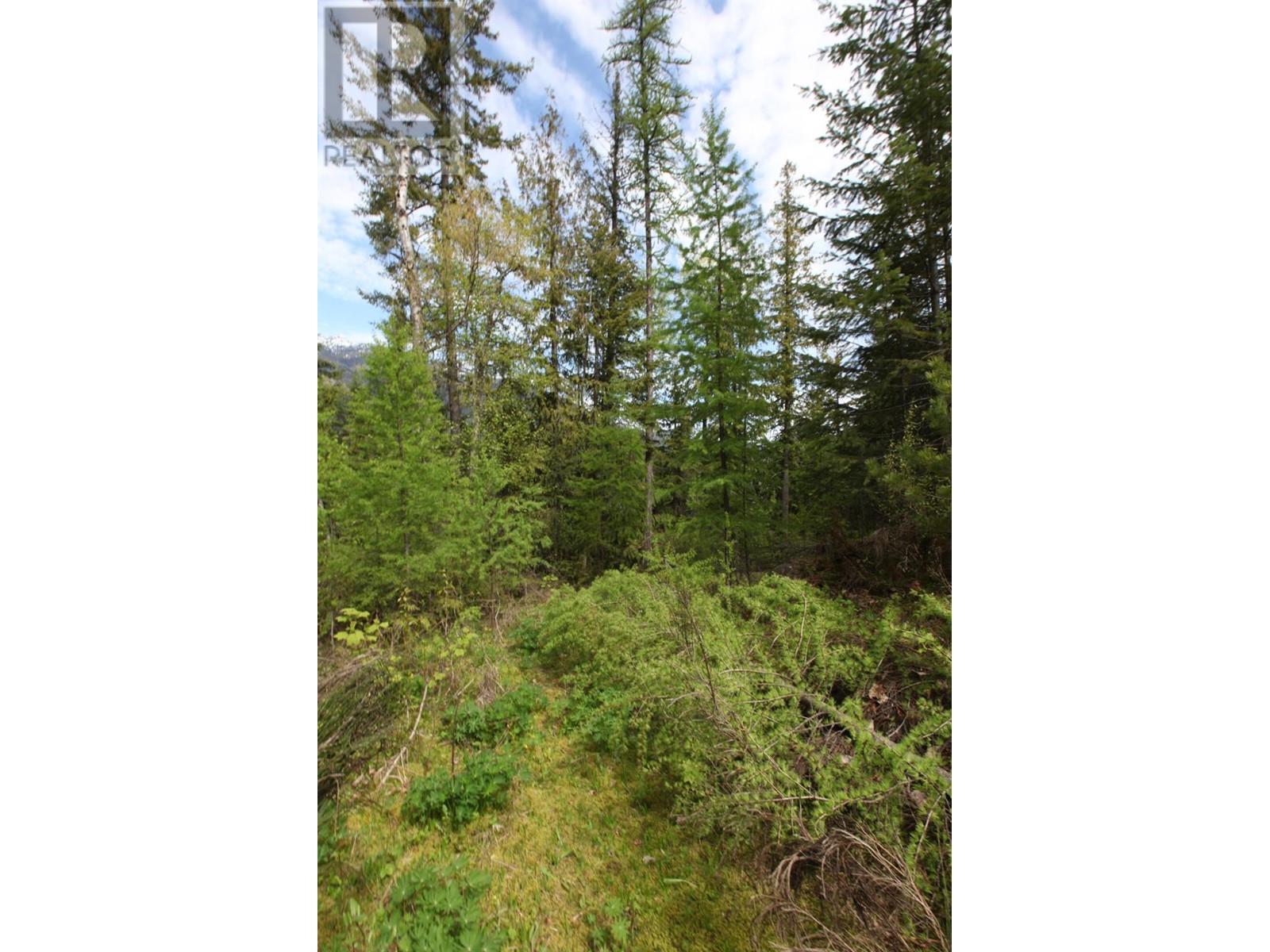 434 Lexington Avenue, Procter, British Columbia  V1L 6R7 - Photo 38 - 10339029