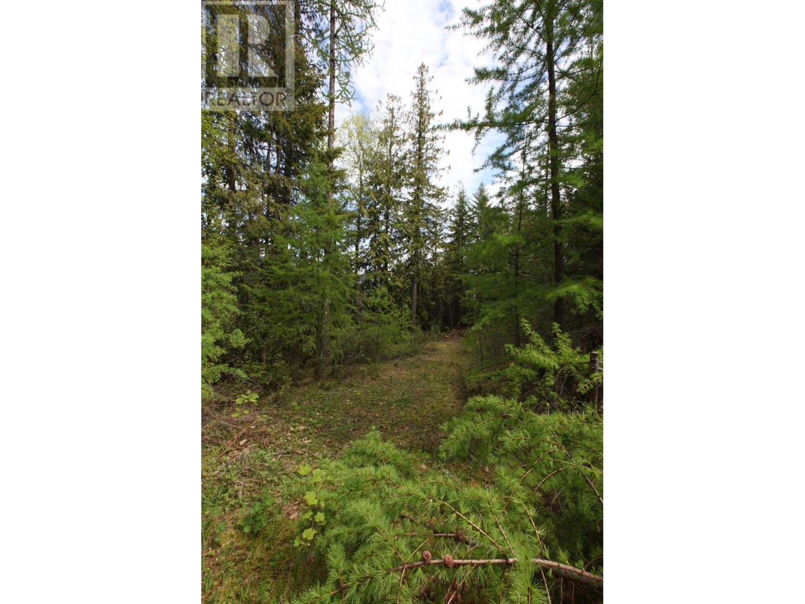 434 Lexington Avenue, Procter, British Columbia  V1L 6R7 - Photo 39 - 10339029