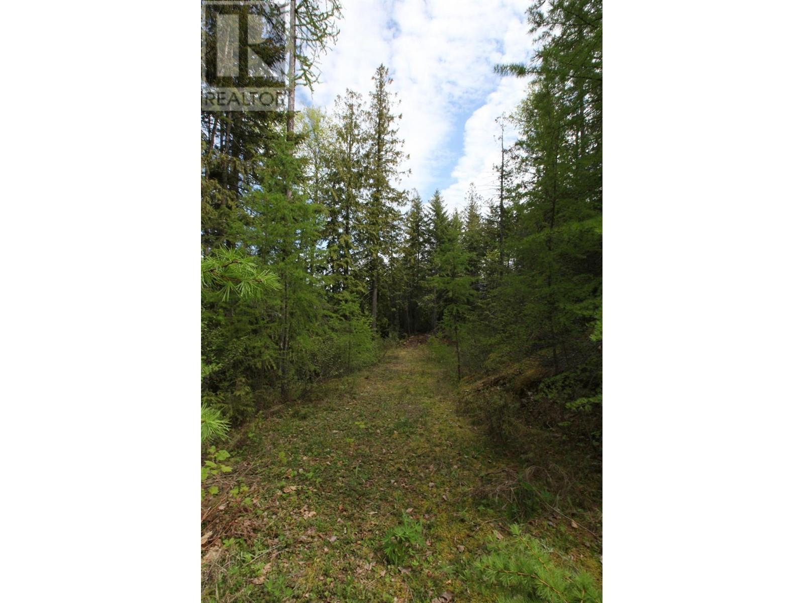 434 Lexington Avenue, Procter, British Columbia  V1L 6R7 - Photo 40 - 10339029