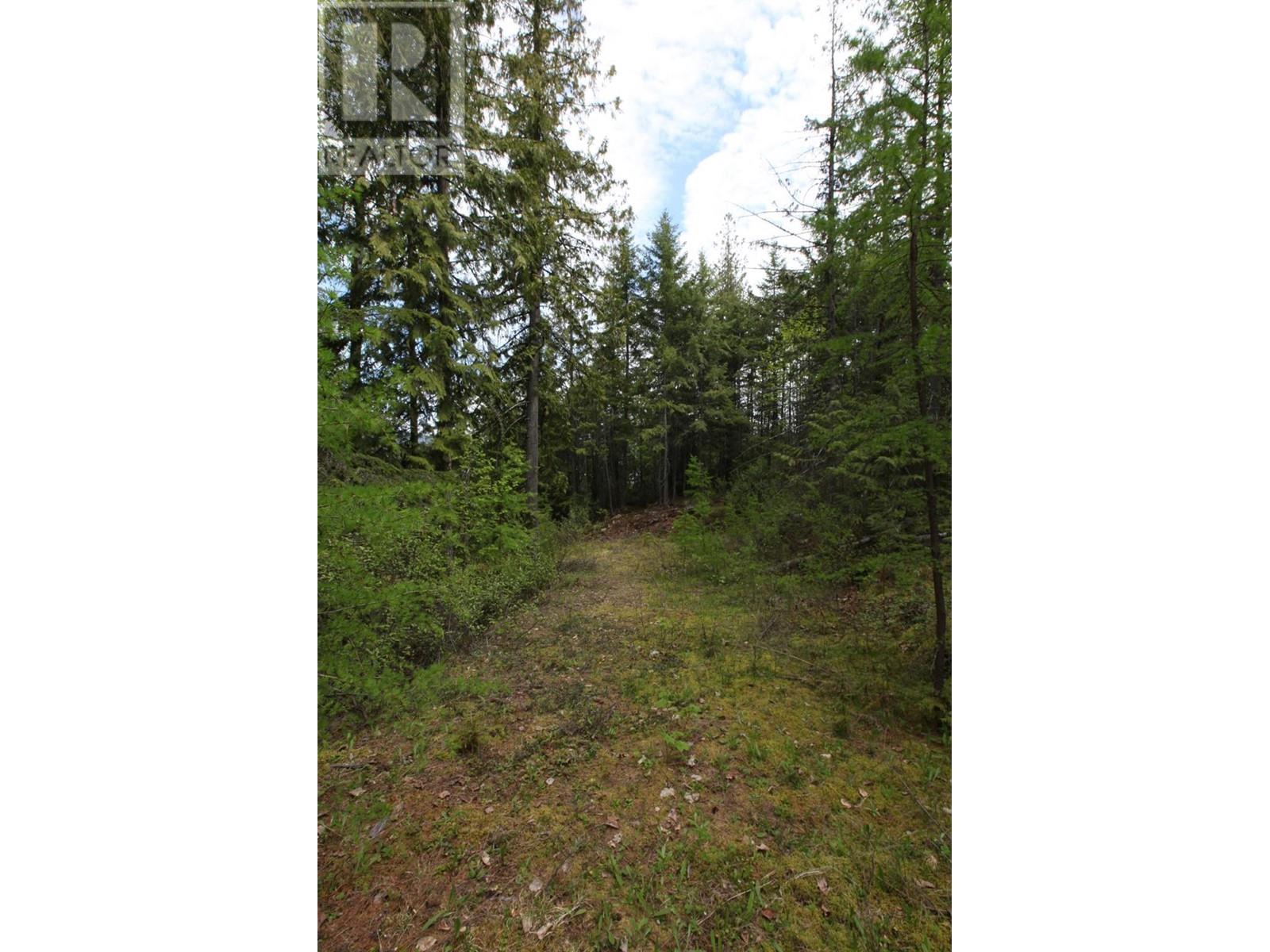 434 Lexington Avenue, Procter, British Columbia  V1L 6R7 - Photo 41 - 10339029