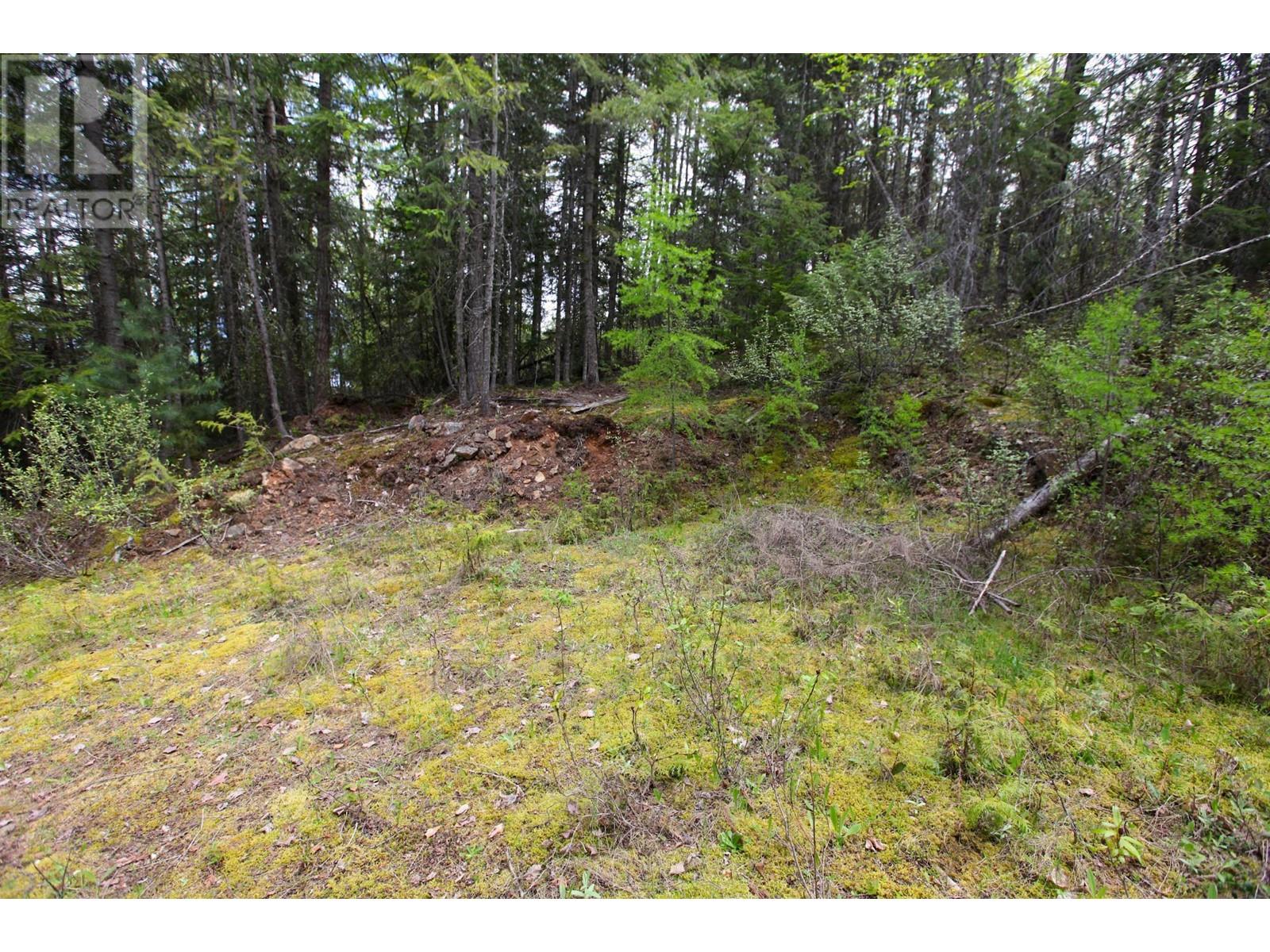 434 Lexington Avenue, Procter, British Columbia  V1L 6R7 - Photo 43 - 10339029