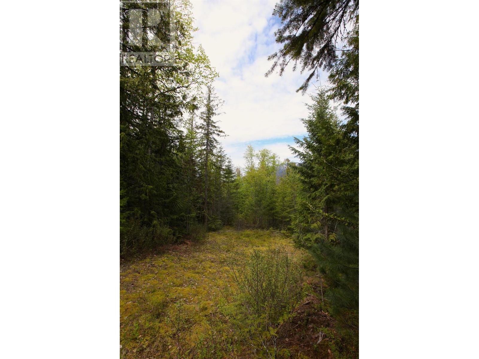 434 Lexington Avenue, Procter, British Columbia  V1L 6R7 - Photo 44 - 10339029