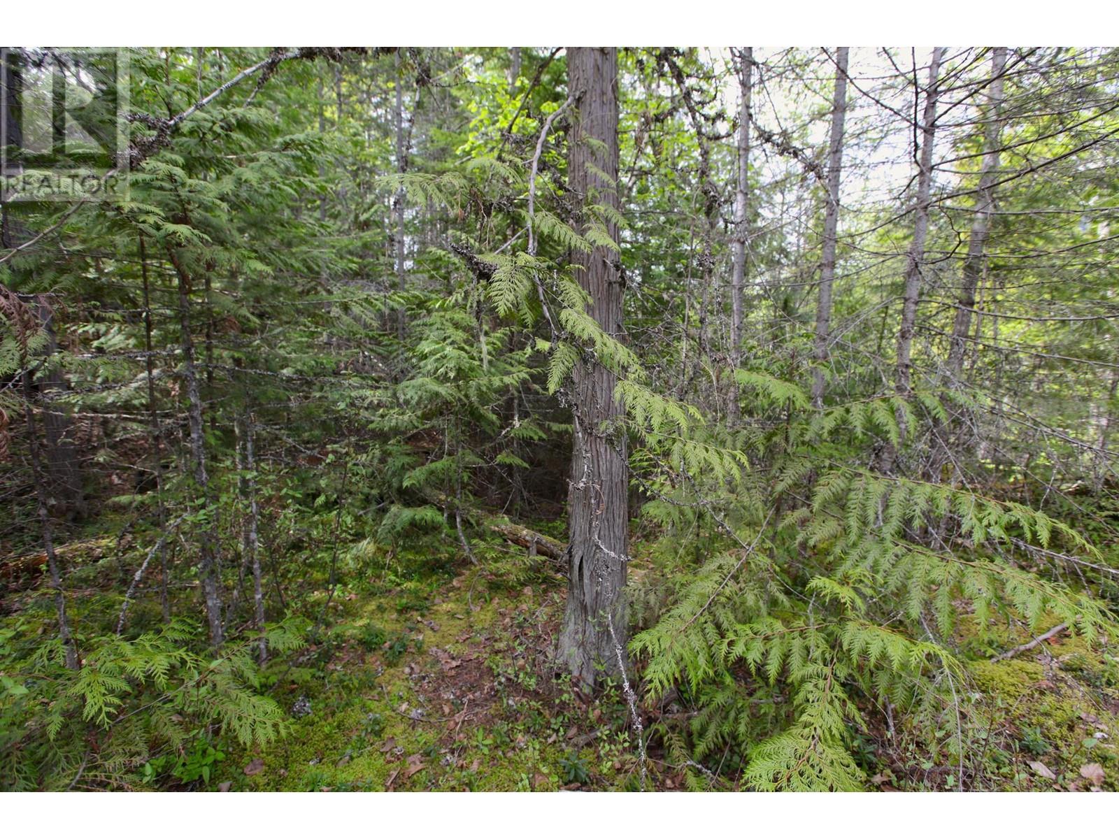 434 Lexington Avenue, Procter, British Columbia  V1L 6R7 - Photo 45 - 10339029