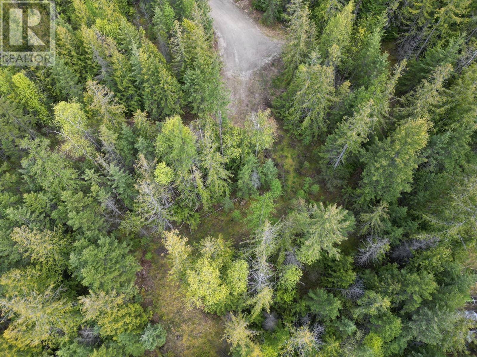 434 Lexington Avenue, Procter, British Columbia  V1L 6R7 - Photo 8 - 10339029