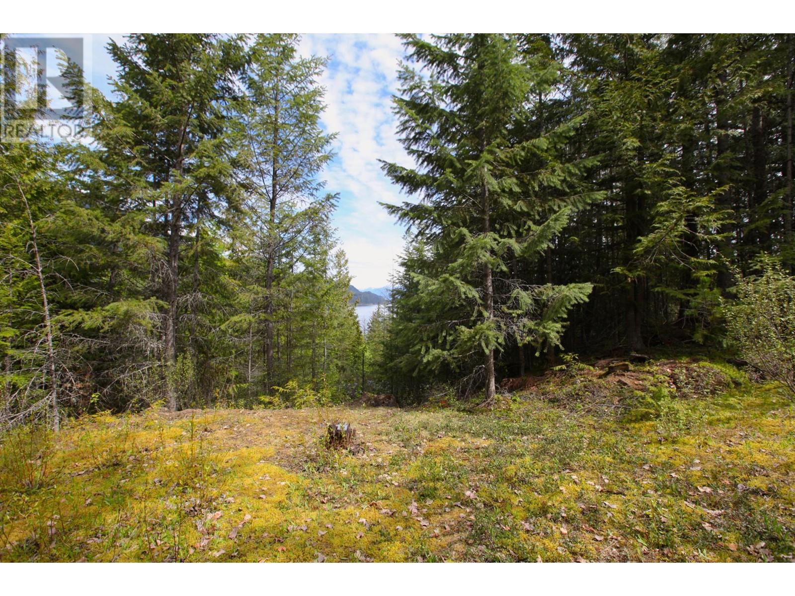 434 Lexington Avenue, Procter, British Columbia  V1L 6R7 - Photo 9 - 10339029