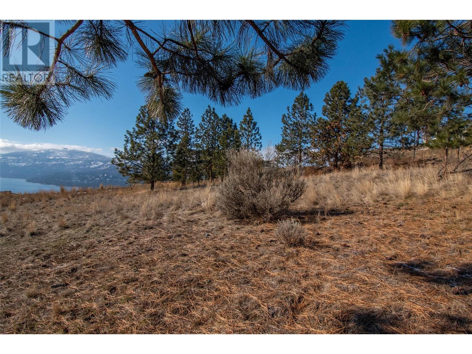 8836 Tavistock Road, Vernon, British Columbia  V1H 2K9 - Photo 11 - 10340542